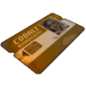 GoldCard - карта общего доступа