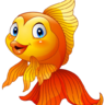 XD Golden Fish